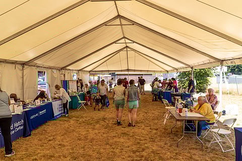 The Cierra Sisters Annual Wellness Festival celebrating its 10th year in Skyway on July 20, 2024. (Photo: Susan Fried)