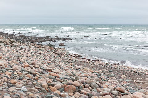 Rocky ocean beach