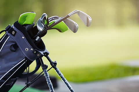 Golf clubs in a bag