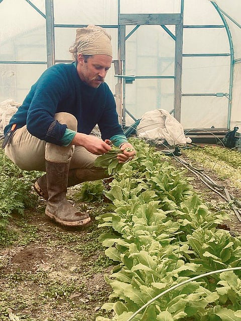 Join Holly Hill Farm's experts at Untold Brewing on January 29, 2025, from 6:00 PM to 8:00 PM