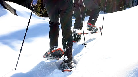A pair snowshoeing