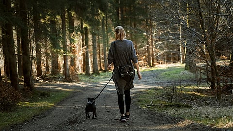 A woman walks her dog in the woods