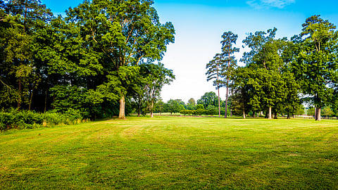 Open field with grass and trees- Marshfield Planning Board hears draft open space plan emphasizing conservation and community needs