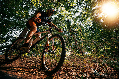 Riding Through a Wild Labyrinth