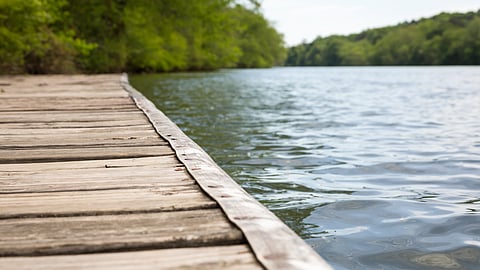 river with a wooden dock on it