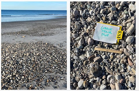 rocks on a beach to demonstrate size of beach cobble