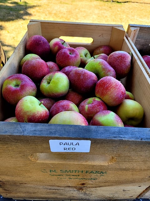 Marshfield Farmers' Market