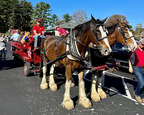 Cardinal Cushing Centers free Harvest Festival