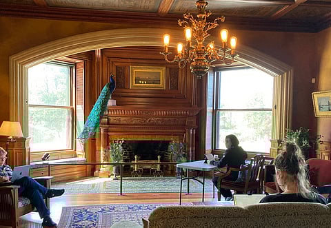 One-Day Writing Retreat at Gilded Age Eustis Estate Mansion with Historical Novelist Jodi Daynard