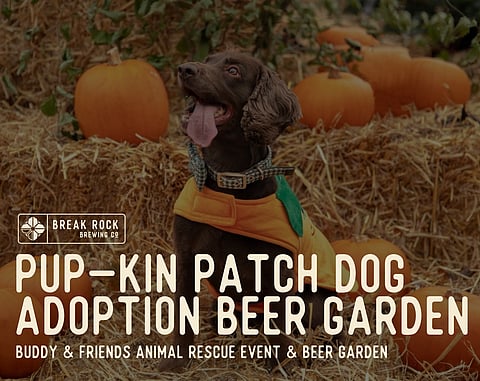 Pup-kin Patch Dog Adoption Beer Garden