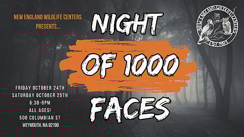 Night of a Thousand Faces