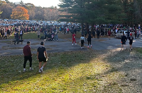 Light shines through the trees of the crowded field before the start line.
