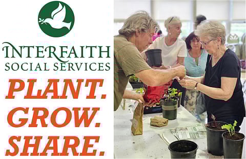 Community Gardening for a Cause: Plant.Grow.Share.