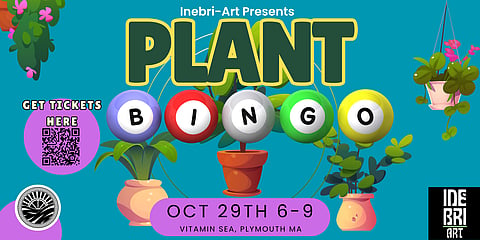 promo poster for plant bingo that has potted plants and bingo bballs