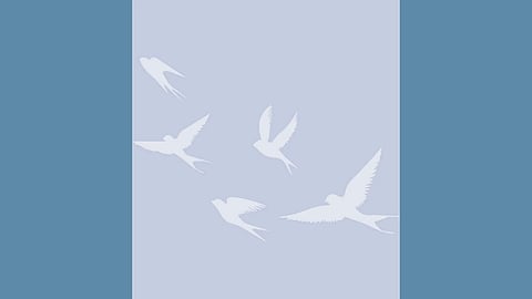 Filler photo from funeral home of image of swallows in flight