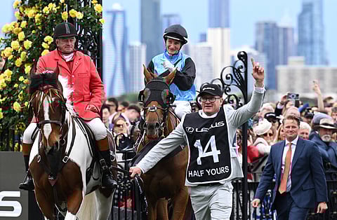 Jockey Jamie Melham rides Half Yours back to the enclosure following victory in the 2025 Melbourne Cup.