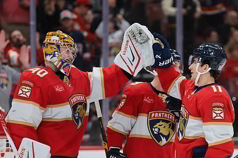 Florida Panthers celebrate a goal