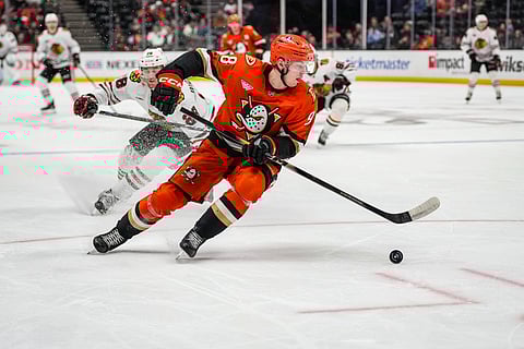 Ducks thrash Blackhawks