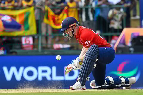 Harry Brook in action