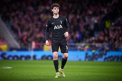 Archie Gray of Tottenham Hotspur