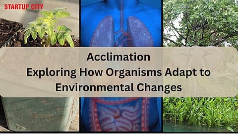 Acclimation