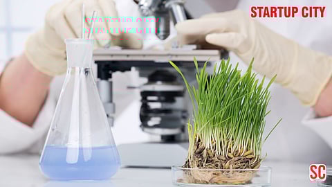 Top 10 Biotechnology Companies In Australia