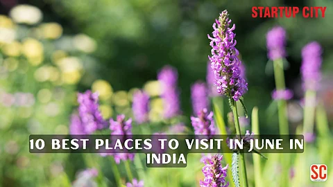 10 Best Places to Visit in June in India
