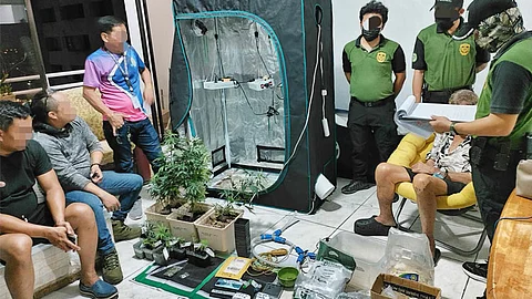 NASIKOP: Ang American national nga si William Lee Matteson (naglingkod, tipik nga nasalipdan), 75, uban sa mga ebidensiya nga tanom ug pinauga nga marijuana sa pagronda sa Philippine Drug Enforcement Agency (PDEA 7) sa iyang condo unit sa Juana Osmeña Extension, Barangay Kamputhaw, dakbayan sa Sugbo. / TAMPO sa PDEA 7