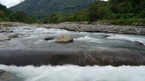 Urgent call for conservation