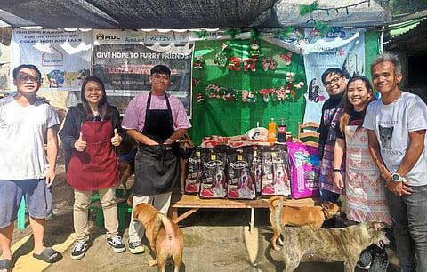 A wonderful Christmas for 250 rescued dogs, cats in Davao