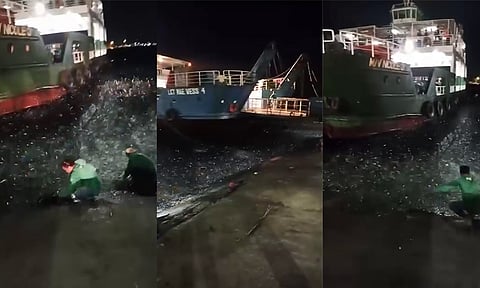 A multitude of fish filled the port of Island Garden City of Samal on Thursday night, January 25, 2024. Residents quickly brought their basins and plastic wraps to collect the fish.