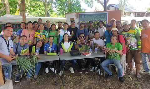 Alabel hosts Bulb Onion Harvest Festival