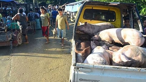 KAHAYUPAN: Ang Mantalongon Livestock Market sa Barangay Mantalongon, lungsod sa Barili maoy labing dako nga merkado sa kahayupan sa probinsiya sa Sugbo diin kanunay sab gimonitor ang kalimpiyo sa maong dapit.