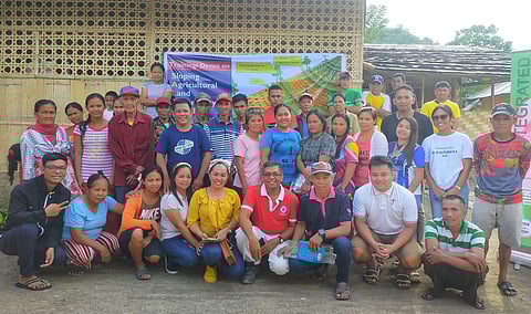Malungon farmers participate in ‘Salt Agriculture Training’