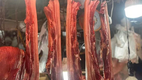 PORK BAN: Ang mga baboy gikan sa Sugbo ug mga isla niini sa Bantayan ug Camotes gi-ban sa pagsulod sa Lalawigan sa Negros Occidental tungod sa hulga sa African swine fever.