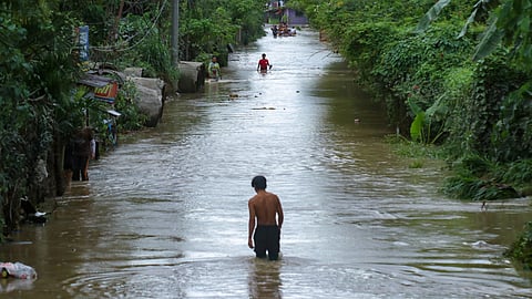 Leptospirosis flooding