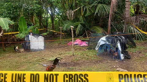 ‘Jealousy’ over actress drives man to kill uncle in Daanbantayan