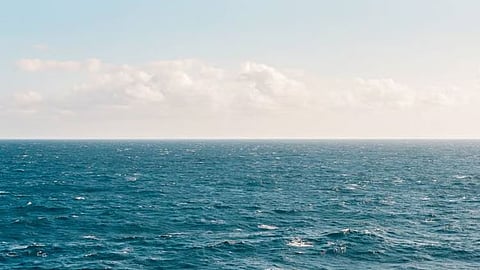 BFAR: Fish population is simply rising