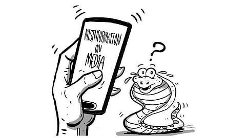 Editorial: Revisit snake encounters