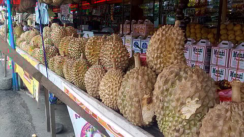 Vendors are now excited to welcome visitors from different places to taste durian, known as the king of fruits, at the Magsaysay Fruit Stand (outside Magsaysay Park) as the 87th Araw ng Davao kicks off today, March 1, 2024. Along with the preparations, various fruits are present in different stalls. According to the vendors, they are optimistic that they will have higher sales in the coming days as the city celebrates Araw ng Dabaw.