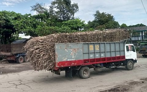 HIGHER MILL GATE PRICES. A cane truck on the way to a sugar mill in Silay City, Negros Occidental in this file photo. The biggest independent sugar group in the country, the United Sugar Producers Federation of the Philippines (UNIFED), in a statement on Tuesday (March 19, 2024) said they are thankful that “prices have gone up to the level that farmers are comfortable with.”