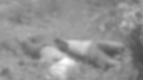 2 gi-salvage nailhan na; hustisya singgit sa pamilya