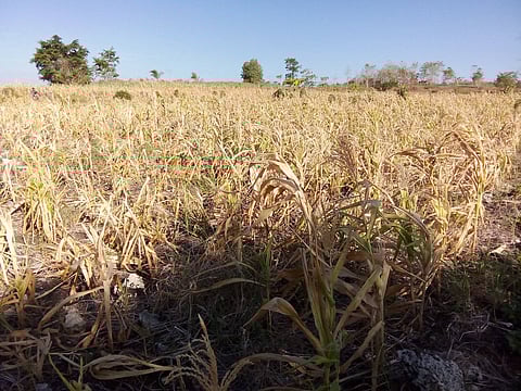 61 barangay sa Cotabato gipailawom sa State of Calamity