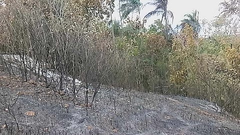 Hulagway kuHa ni Cel Jo Zitro