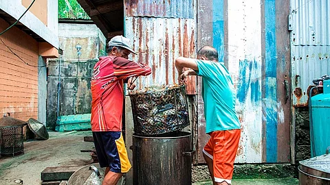 ILOILO. USAid’s Fish Right Program is expanding the market for sustainably-sourced crab in Iloilo to support the income of local crabbers and protect the province’s marine ecosystem.