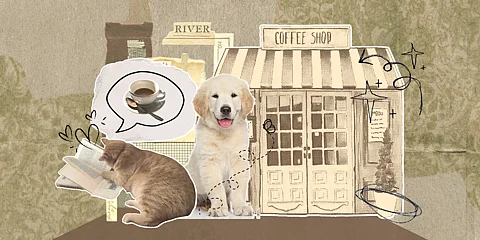 9 pet-friendly cafes in Metro Cebu