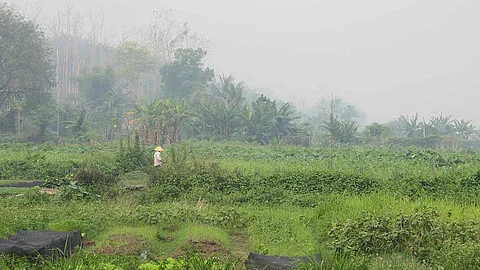LAOS. A farmer tends their fields in stifling temperatures as surrounding hills are choked by smoke from field and hill fires across the region, Thursday, April 4, 2024, in Luang Prabang, Laos.