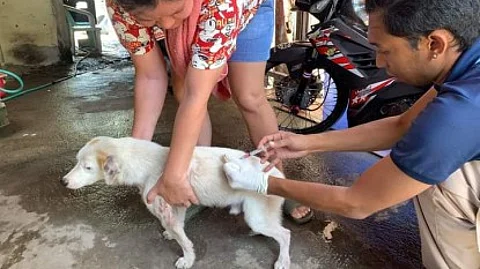 MASS DOG VACCINATION. A dog was administered with an anti-rabies vaccine in Bacolod City last month. By October this year, the City Veterinary Office is targeting to immunize 70 percent of the estimated 100,000 dog population in the city to achieve herd immunity and prevent the rabies outbreak.