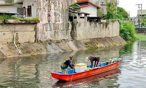 BOKASHI BALLS. The Department of Environment and Natural Resources released 8,000 bokashi balls into the Ibayo River in Balanga City, as part of efforts to restore the pristine waters of Manila Bay. (DENR photo)
