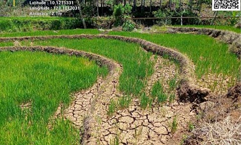 Pagasa issues El Niño watch